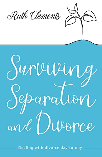 Surviving Separation and Divorce: Dealing with divorce day-to-day von Lion Books